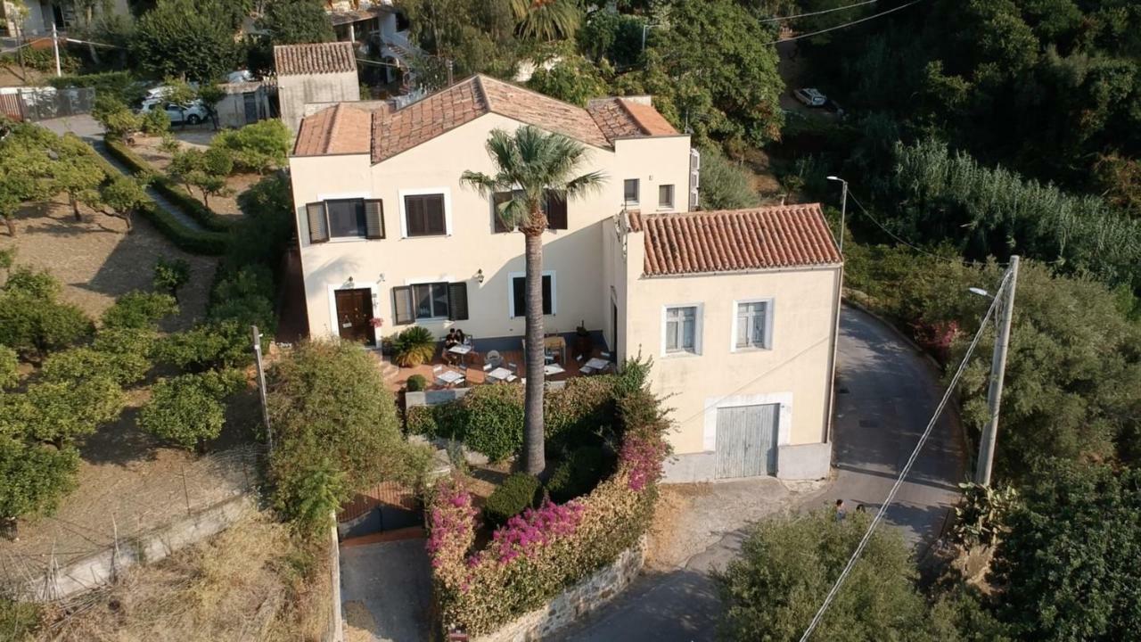 Bouganville 3*